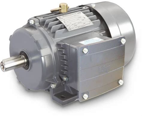 LHP Electric Motors - LHP Flame Proof (FLP)Motor Trader - Retailer from ...