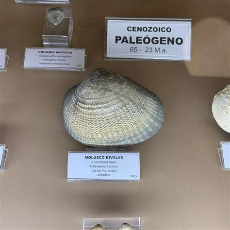 MUSEO GEOMINERO - All You SHOULD Know Before Going 2026 (with Photos ...