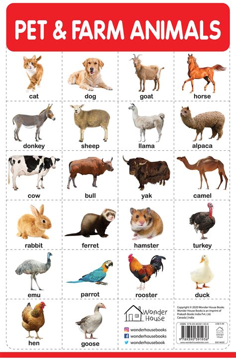 Pet And Farm Animals - My First Early Learning Wall Chart: For ...