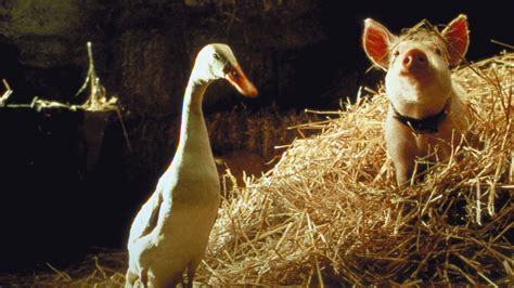 Watch Babe: Pig in the City (1998) - Free Movies | Tubi