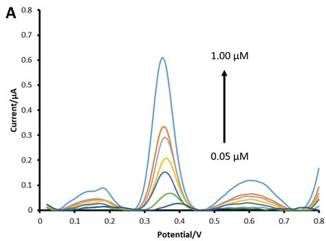 An Electrochemical Screen-Printed Sensor Based on Gold-Nanoparticle ...