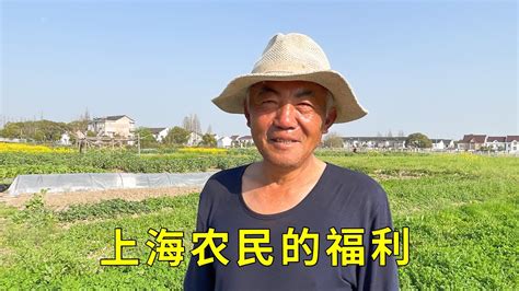 （上）上海农民要翻身了，拆迁可赔四套房，每月有1000多元农保 - YouTube