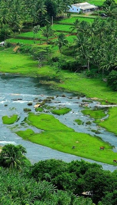 Amaya River Retreat - Narasimukku - 96298 27168 Anaikatti Riverside ...