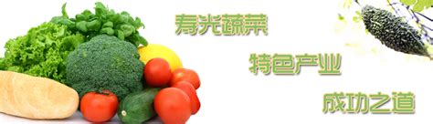 寿光水果黄瓜,寿光蔬菜代办,寿光蔬菜代销-寿光市天合园蔬菜专业合作社