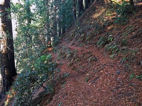 Willow Creek Trail - Hiking and Backpacking In The Los Padres National ...