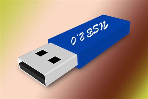Image result for Removable Partial Disk