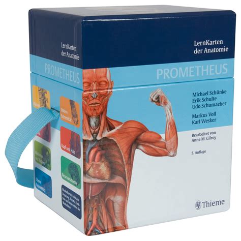Amazon.in: Buy Schünke, M: PROMETHEUS LernKarten der Anatomie Book ...