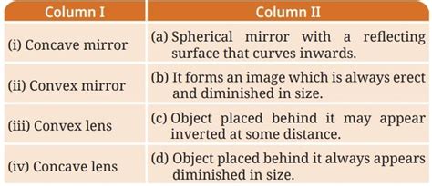 Light: Mirrors and Lenses NCERT Solutions - Science Class 8 PDF Download