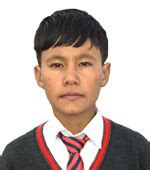 Sea buckthorn harvester - National Innovation Foundation-India