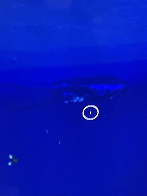 How to Make Cyclops Depth Module MK1 的图像结果