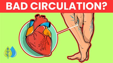 Poor Circulation Leg Sores 的图像结果