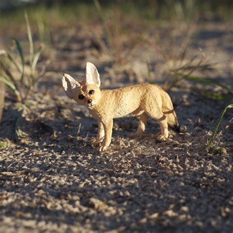 Fennec Fox Toy | Safari Ltd®