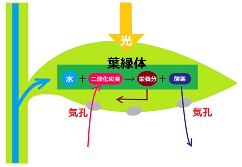 Learn OS Module Python From Beginning に対する画像結果