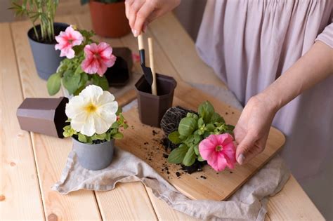 Page 28 | Flower cutter Images - Free Download on Freepik