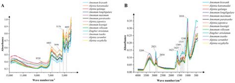 Comparison of Metabolites and Species Classification of Thirteen ...
