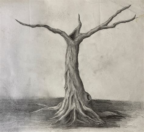 Image result for Graphite Pencil Drawing Tree