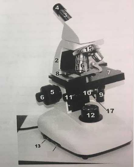 Image result for Light Microscope Model