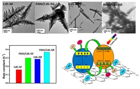 EnhancedPhotosensitization of Zinc Oxide Nanorods using polyaniline ...