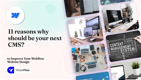 CMS Map Web Flow 的图像结果