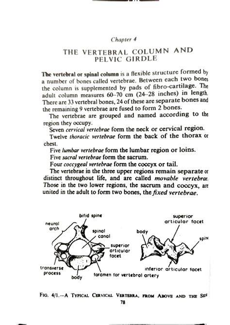 Vertebral column and pelvic girdle - Diploma in health inspector - Studocu