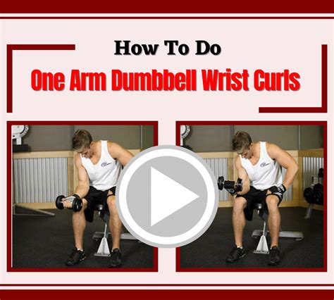 Forearms Exercises: learn how to do all exercises correctly