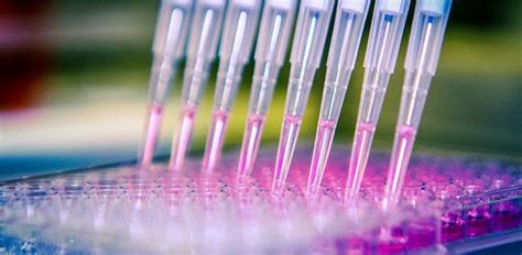 Genome Testing 的图像结果