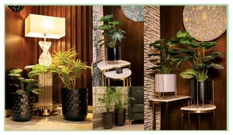 The Psychology of Colors: Crafting a Mood-Boosting Home with RCasa ...