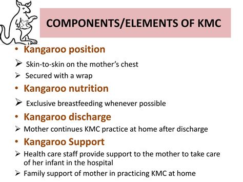 KMC | PPTX