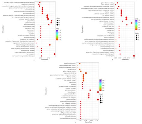 Comparative Transcriptome Analysis Identifies Candidate Genes Related ...