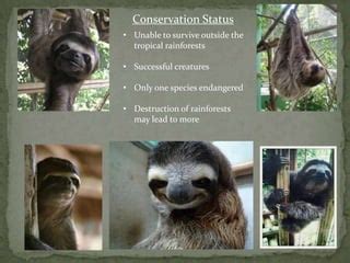 Image result for JavaScript Define Function