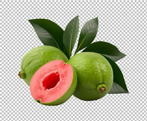 Image result for Guava Fruit Machine Learning Python Project