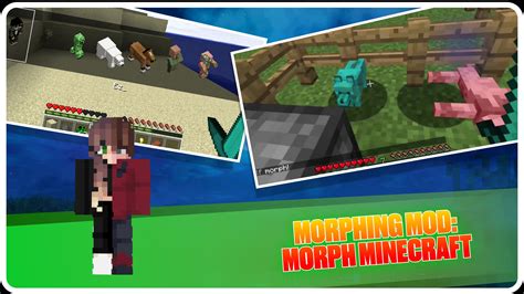 Image result for Minecraft Mob Morphing