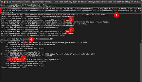 Compute Module Linux 的图像结果