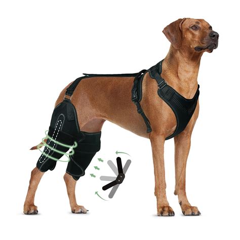 LISPOO Dog Knee Brace for Torn Acl Hind Leg, Luxating Patella, Cruciate ...