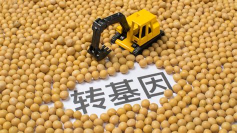 农业农村部：37个转基因玉米品种、14个转基因大豆品种通过初审_腾讯新闻