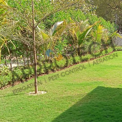 Porous Pipe for Landscape Gallery | Approtech Porous Pipe