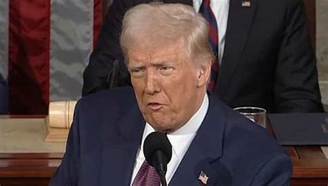 'Mixed Bag, Not Setback': Govt Official On Trump's 'Reciprocal Tariffs ...