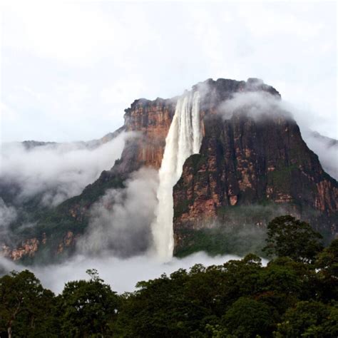 Best Food from Suriname - Top 10 Dishes you have to try!