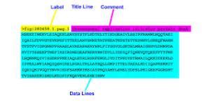 Fasta Format Converter 的图像结果