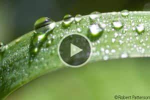 Corel PaintShop Tutorial 的图像结果