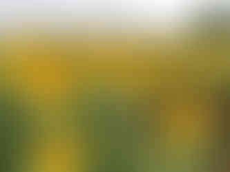 Places to visit near Hampi, Karnataka