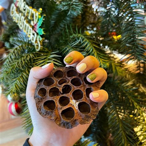 Nhà Spa (Hanoi) - All You Need to Know BEFORE You Go