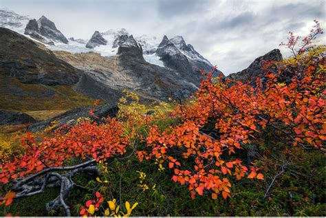 The Story of Quill Hill - Ethan Allen Institute