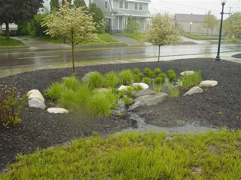 12 Rain Garden Landscape Design Ideas To Try This Year | SharonSable