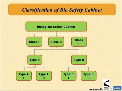 Image result for Biosafety level Types