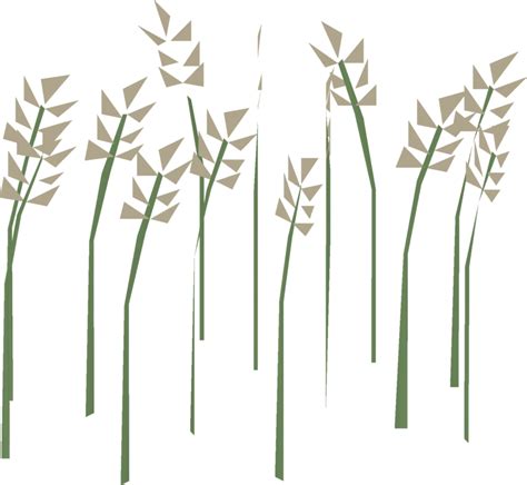 Image result for Wheat Tree OSRS