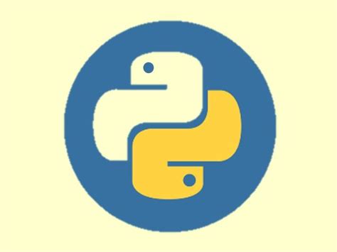 Image result for Python Coding Meaning