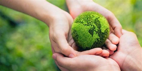 Conservation 的图像结果