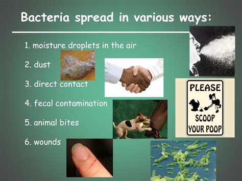 Pathogens 的图像结果