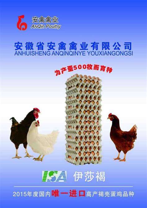 【苗惠中国】以种禽为核心，凭信誉走四方——河南丰园禽业有限公司 | 中国动物保健·官网